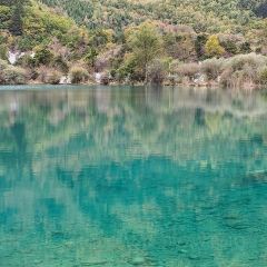 半山海·九寨秘境 Azure Veil Springs 温泉度假酒店·半山海餐厅 User Photo