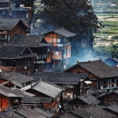 DING AUNT User Photo