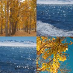 如意林卡銅鍋犛牛肉（布達拉宮店）張用戶圖片