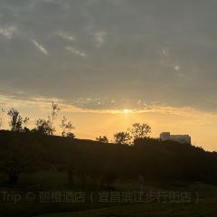 袁姐萝卜饺子(中山路店) User Photo