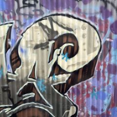 Sir Charles User Photo