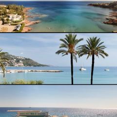 Le Plongeoir User Photo