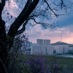 壹家烧烤(荔园路店) User Photo
