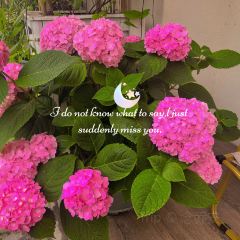 爱屋冰甜&吉屋料理 User Photo