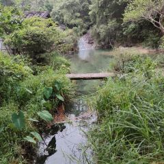 仙店农庄(湖景农庄餐厅) User Photo