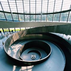 Orangutan Bunker User Photo