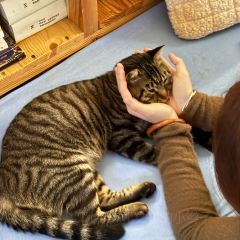 乃屋coffee User Photo