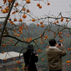 宝马生态农庄·柴火鸡(宝马店) User Photo