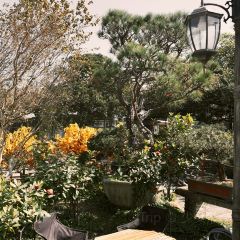 chill cafe User Photo