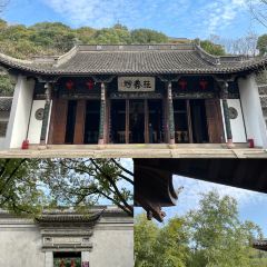 藤羹糖秧 User Photo