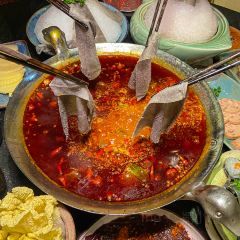 陈鸭肠老火锅(九街店) User Photo