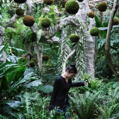 南宁鑫伟万豪酒店·中餐厅 User Photo