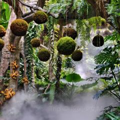 南宁鑫伟万豪酒店·中餐厅 User Photo