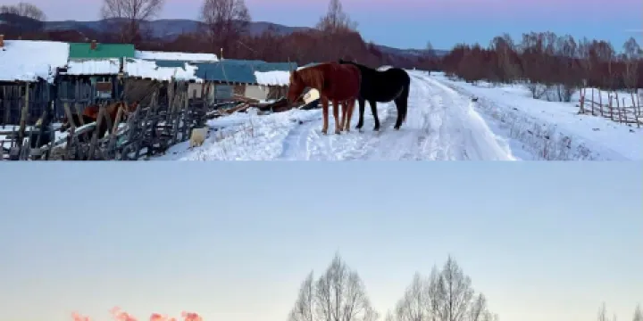 米婆婆營養早餐店