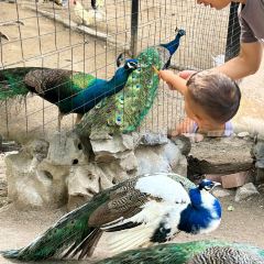 烤包子咖啡屋·洋食 User Photo