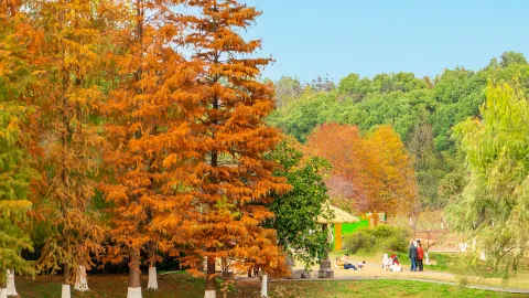 Changsha Landscape and Ecology Garden attraction in Changsha