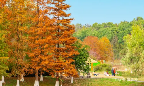 Changsha Ecology Garden