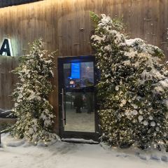 Tundra User Photo