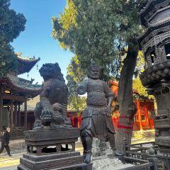 河东夜市 User Photo
