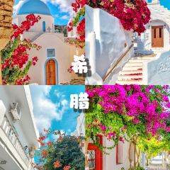 Taverna Glafkos User Photo