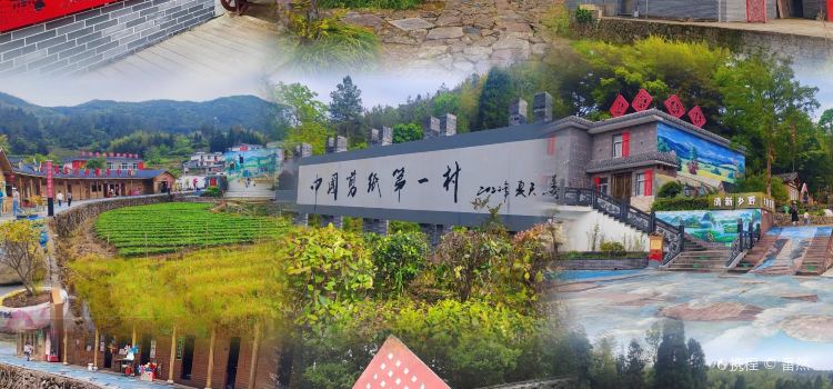 秀容油卷面