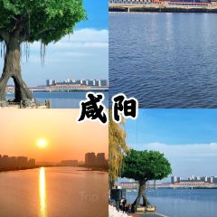 qi gai jiang lv (nan yang men dian) User Photo
