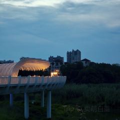 木木喫茶店張用戶圖片