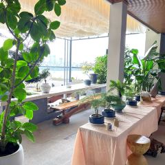 东风庄园红酒庄主题餐厅 User Photo