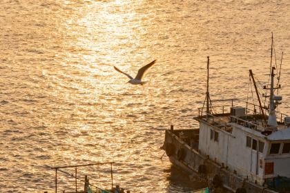 XIAO MI FENG MEI SHI