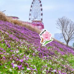 古早味 胖姐连子圆 User Photo