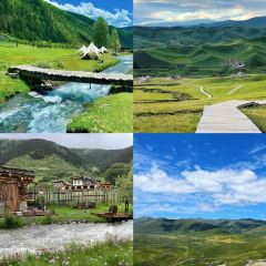 旧院柴火鸡(彭州店) User Photo