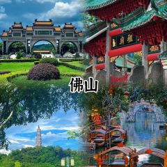 FengCheng ShuangPi Nai User Photo