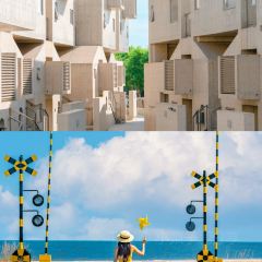 Bar Lotus User Photo