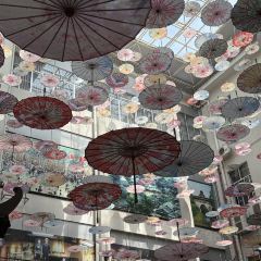 FU QI TUO TUO User Photo