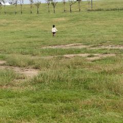 兰姐海鲜平价海鲜·南通土菜(桃坞路店) User Photo