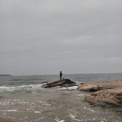 遇见海蒸汽海鲜自助(老虎石店) User Photo