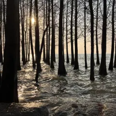 YAO WAN CHUAN CAI User Photo