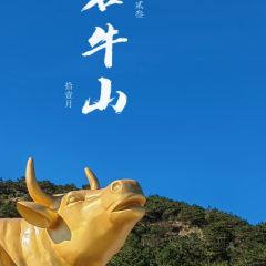 偏愛炒雞店(淘你歡店)張用戶圖片