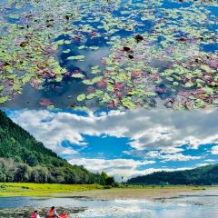 椿野咖啡館（和順店）張用戶圖片