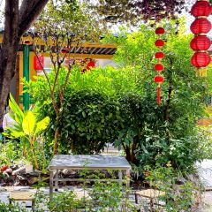 弥勒杨树生清真饭店(上清路店) User Photo