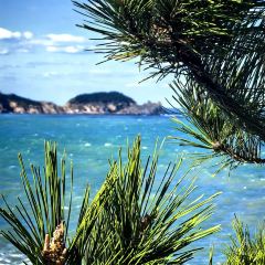 咱妈家·海菜包子(长峰店) User Photo