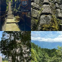 板桥陈记老燕凉卷粉 User Photo