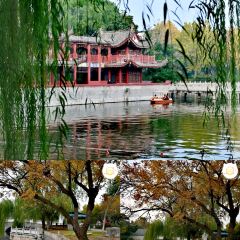 XU XIANG LI LAO FANG ZI User Photo