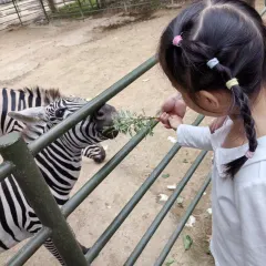 Old Kitchen User Photo