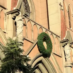 王阿姨梅花糕 User Photo