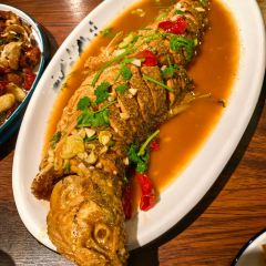 小吊鱼汤 User Photo