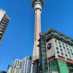 Harbourside Ocean Bar Grill User Photo