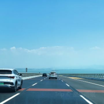 大鍋強·蒸海鮮青島菜（上流滙店）用戶圖片