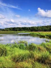 Taoyuan Lake