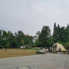 遵生小院(竹艺村店) User Photo